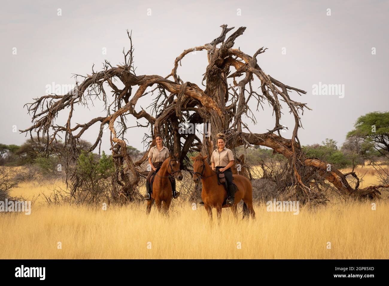 Deux femmes à cheval le long de l'arbre mort Banque D'Images