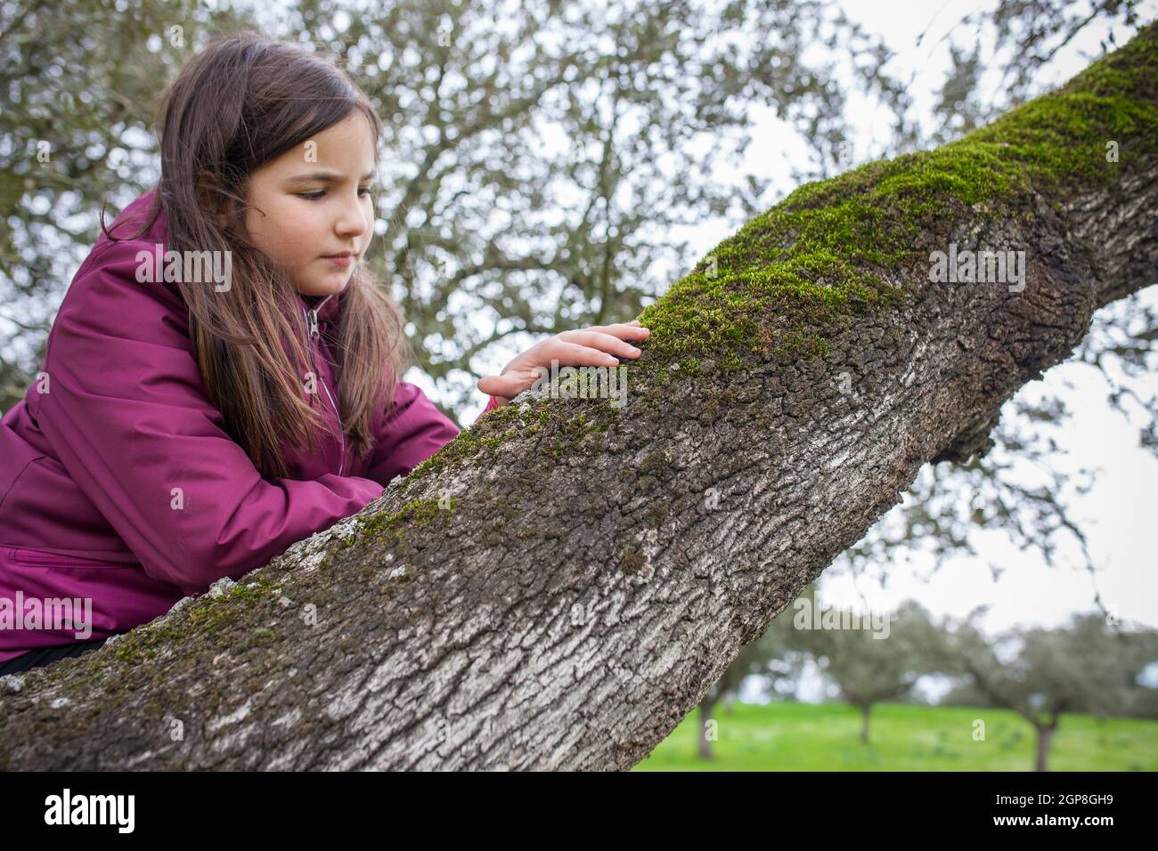 Enfant fille sentant l'arbre mousse sur la branche. Les enfants découvrent des textures dans la nature. Mise au point sélective Banque D'Images