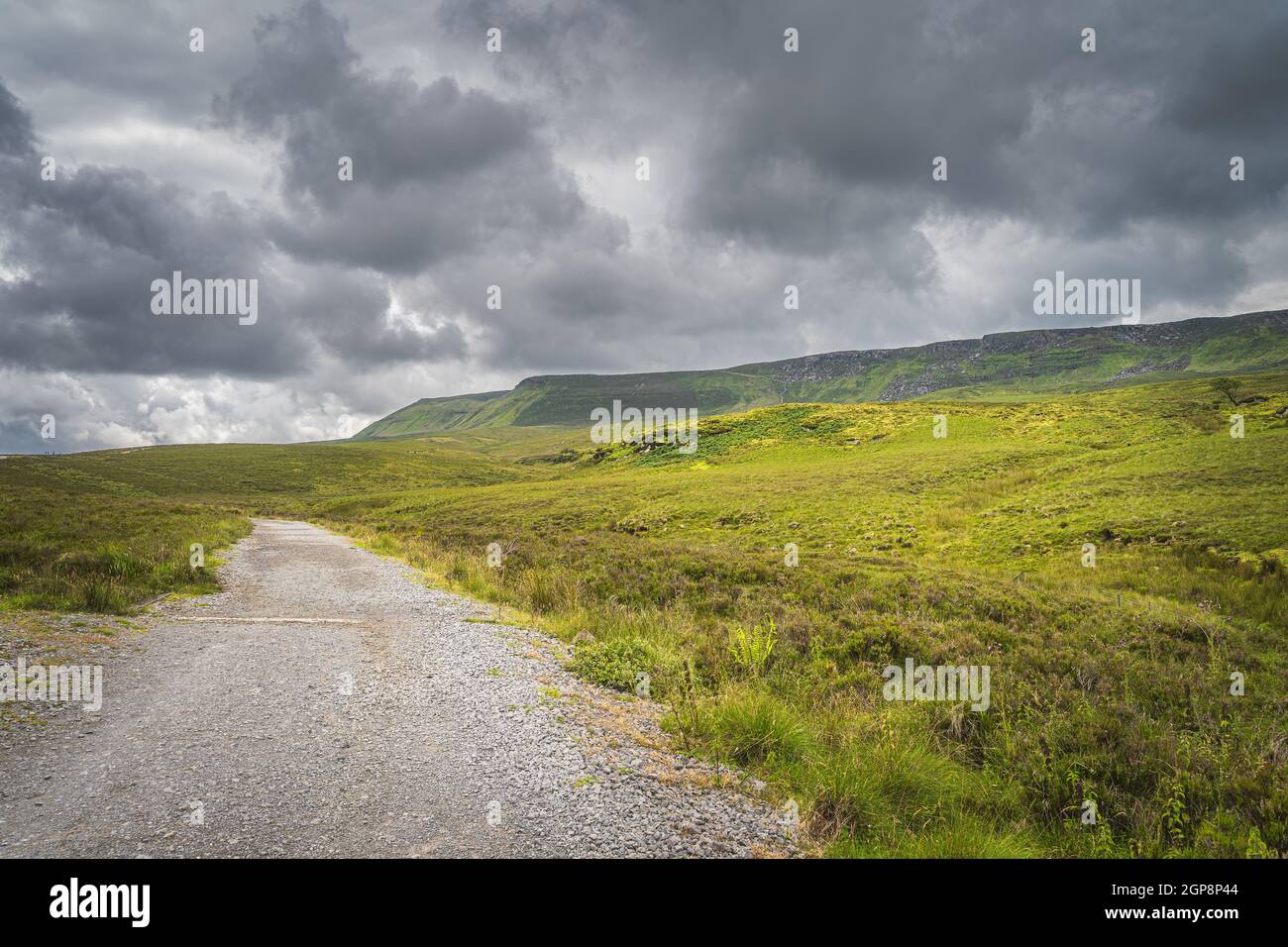 Sentier en gravier ou sentier entre les collines verdoyantes et la tourbière menant à la montagne Cuilcagh avec ciel orageux, ciel spectaculaire en arrière-plan, Irlande du Nord Banque D'Images