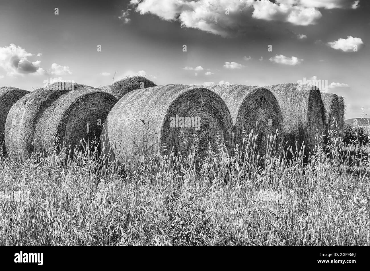 Balles de foin sur le terrain après la récolte, paysage rural en Italie Banque D'Images