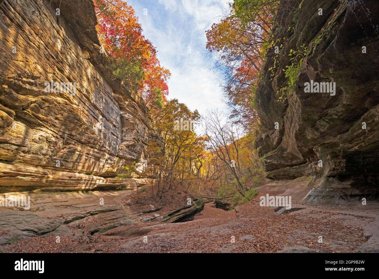 Automne Peeking sur les bords d'un Canyon isolé dans Lasalle Canyon dans Starved Rock State Park dans l'Illinois Banque D'Images