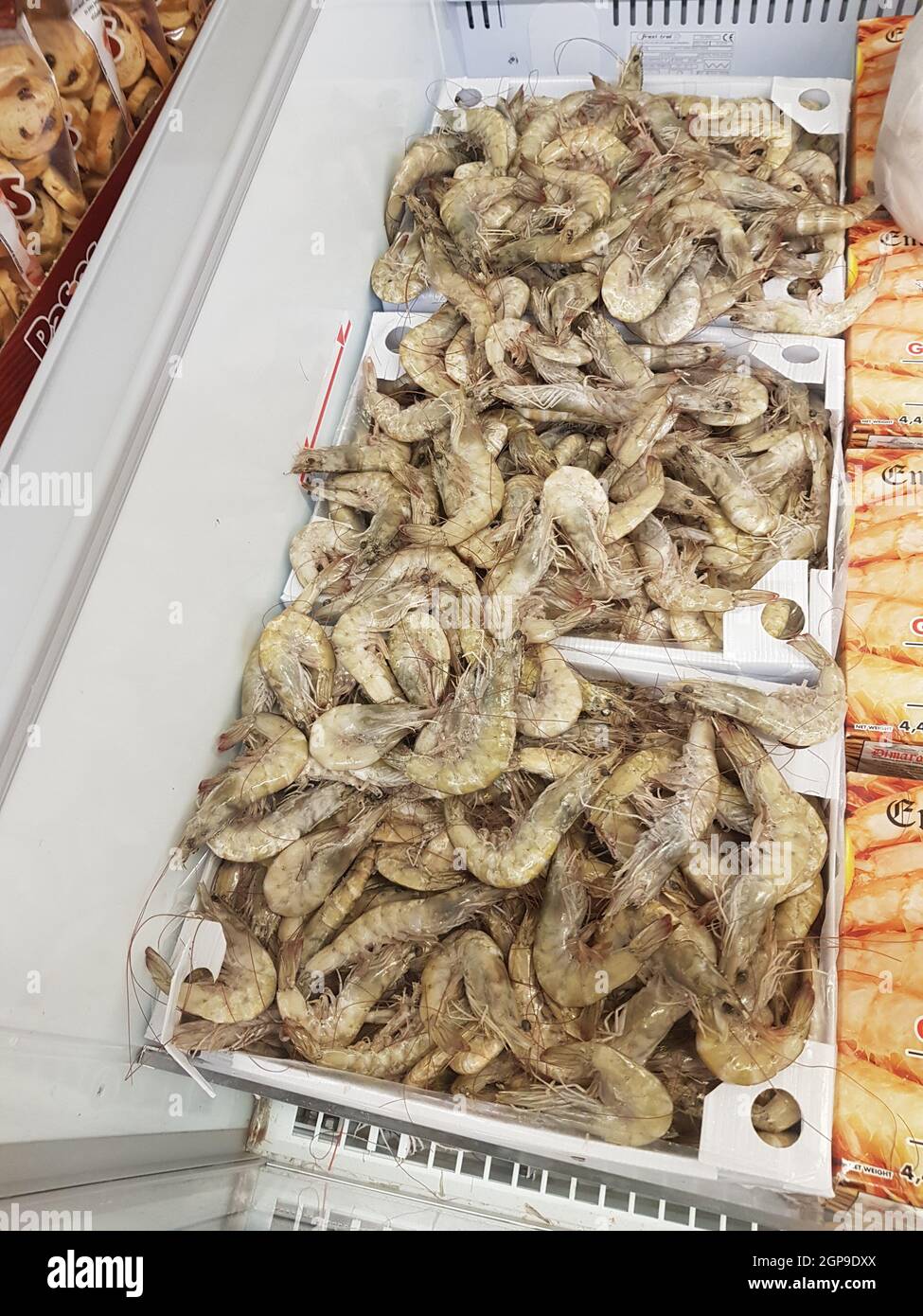 Poisson frais au marché aux poissons dans le port de Malaga. Poisson fraîchement pêché sur la glace. Banque D'Images