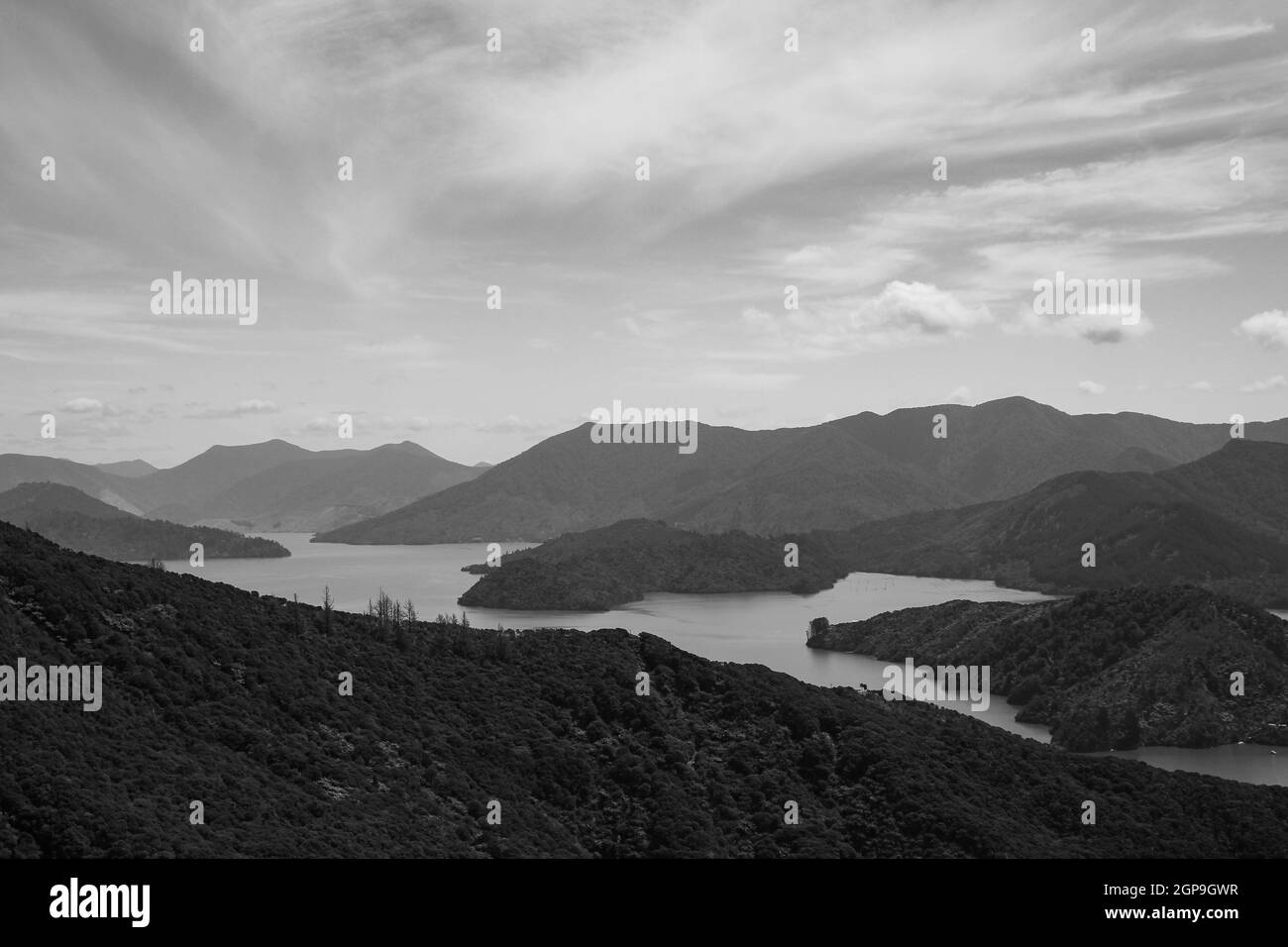 Paysage dans les Marlborough Sounds, Nouvelle-Zélande. Banque D'Images