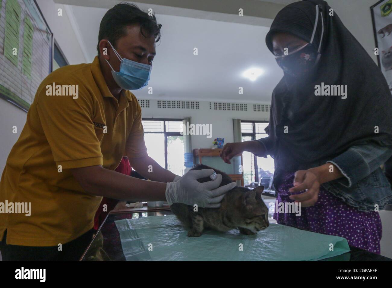 Journée mondiale de la rage Banque D'Images