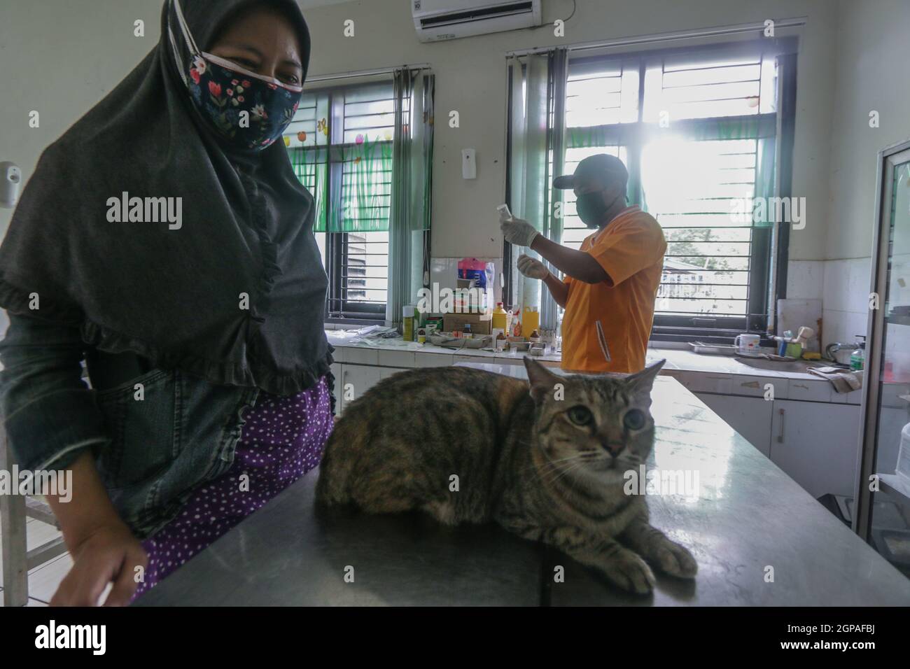 Journée mondiale de la rage Banque D'Images