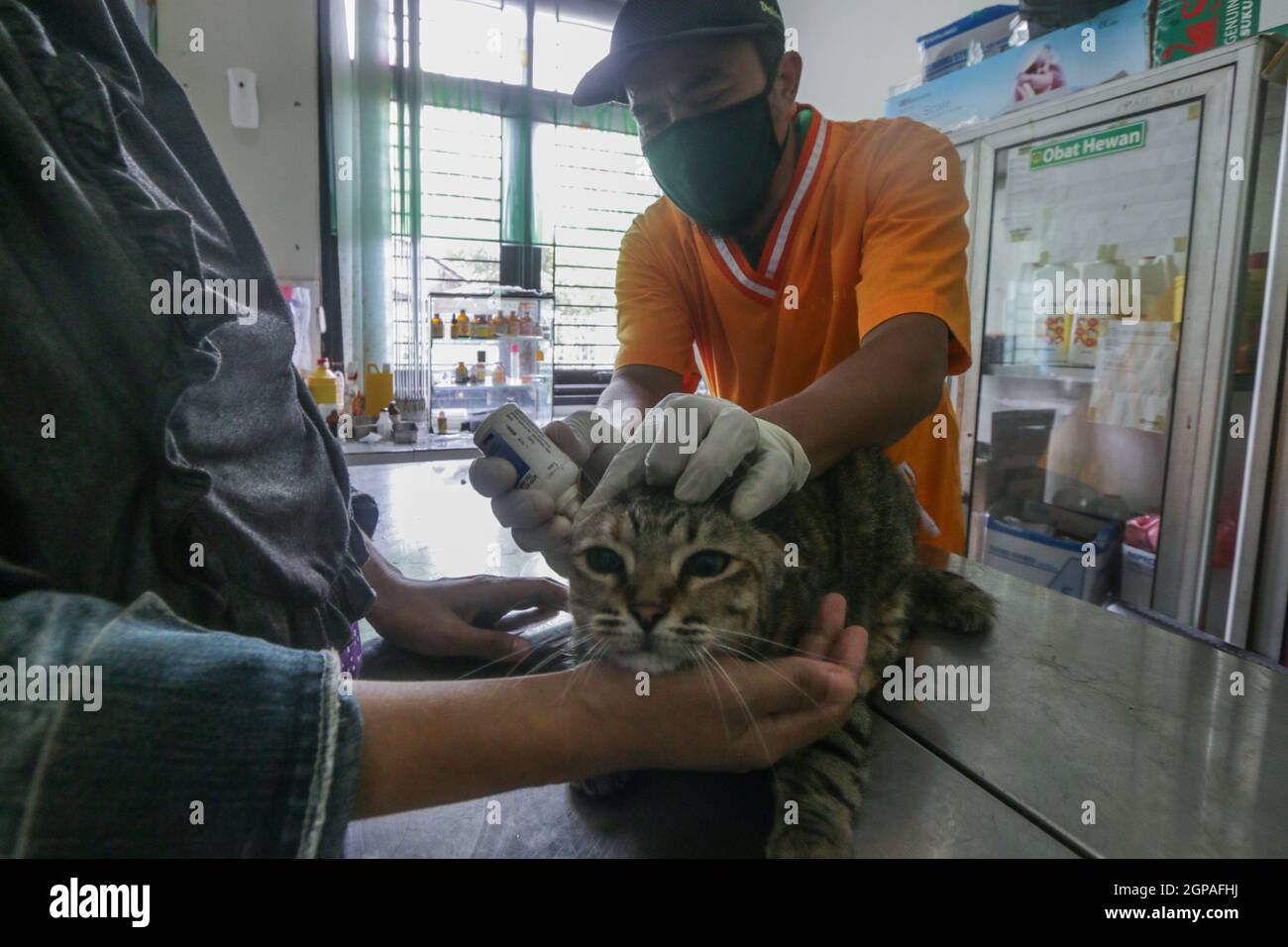 Journée mondiale de la rage Banque D'Images