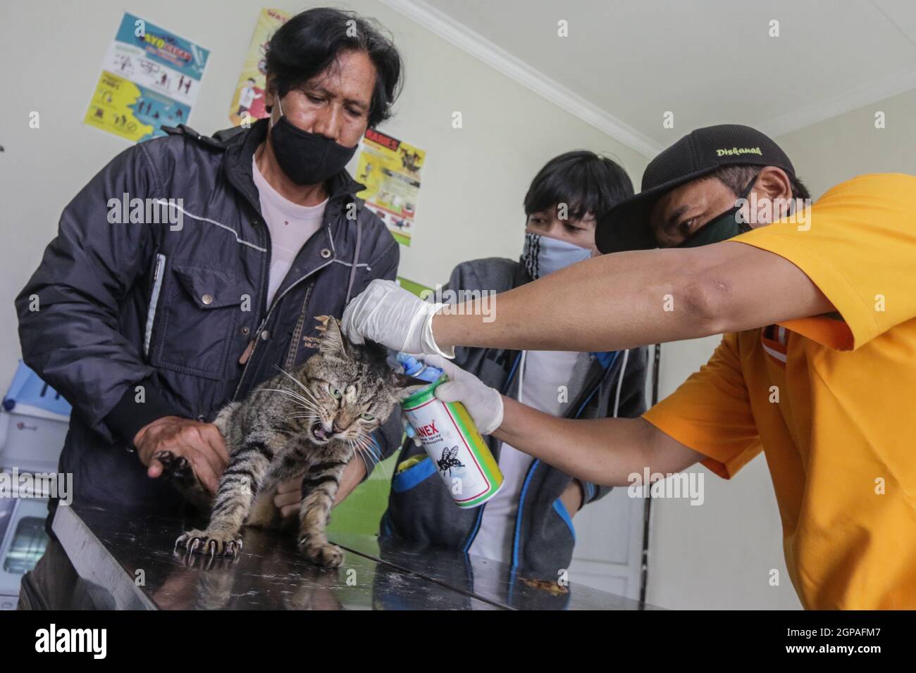 Journée mondiale de la rage Banque D'Images