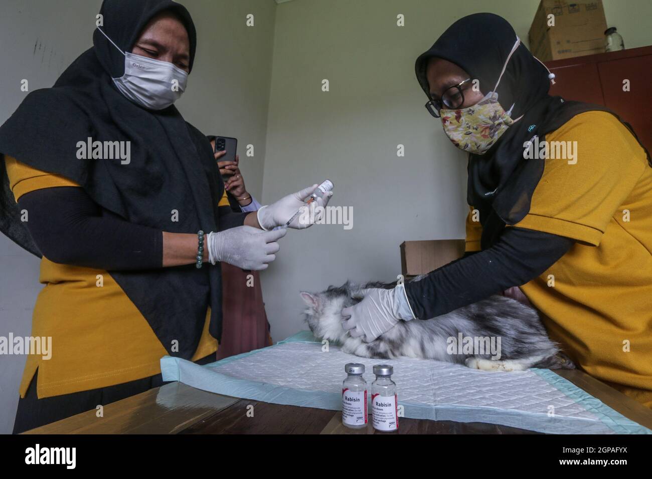 Journée mondiale de la rage Banque D'Images