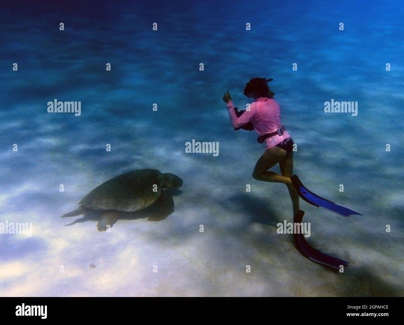 Femme plongée avec tuba avec la tortue Loggerhead (Caretta caretta), parc marin de Ningaloo Reef, Australie occidentale. Pas de MR Banque D'Images