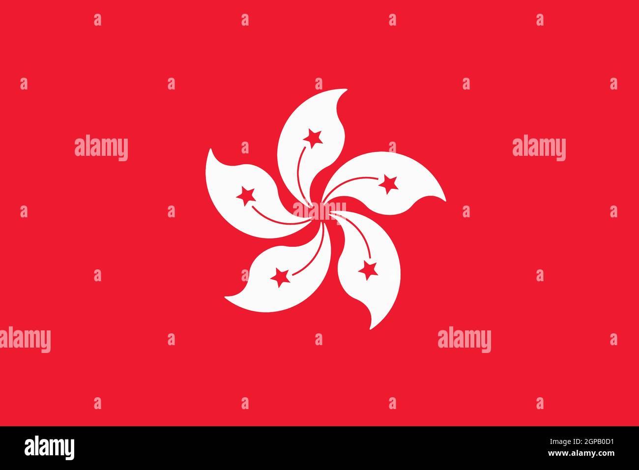 Un drapeau de Hong Kong red background illustration orchidée blanche Banque D'Images