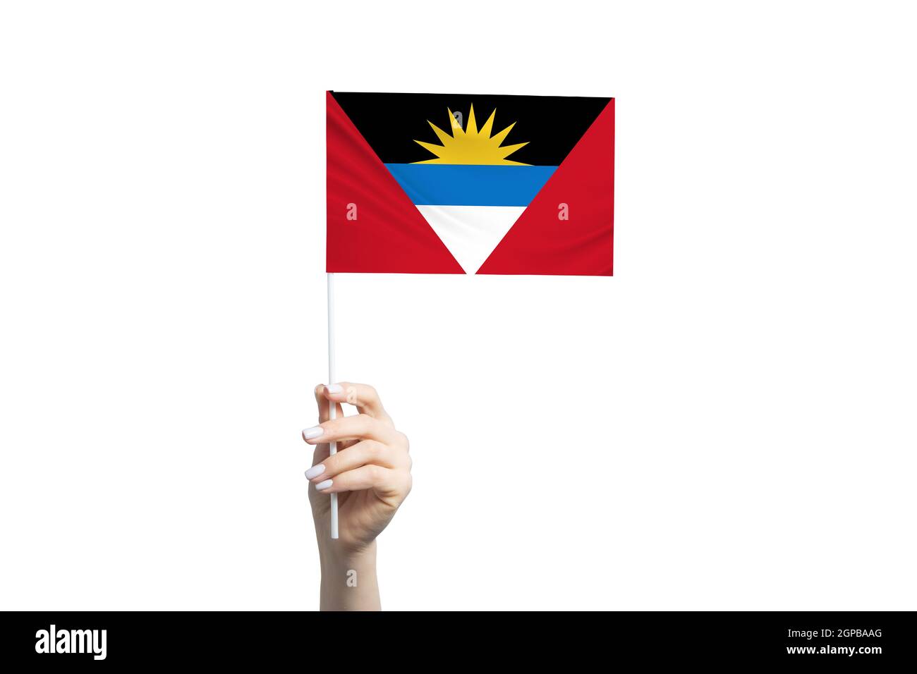 Belle main femelle tenant le drapeau Antigua-et-Barbuda, isolé sur fond blanc. Banque D'Images