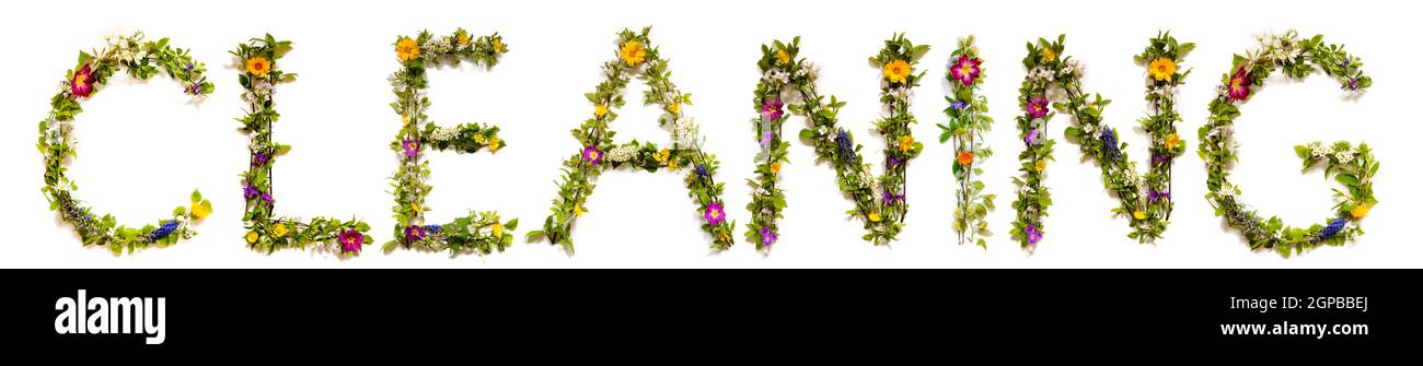 Fleur, branches et Blossom lettre Bâtiment Anglais Word nettoyage. Arrière-plan isolé blanc Banque D'Images