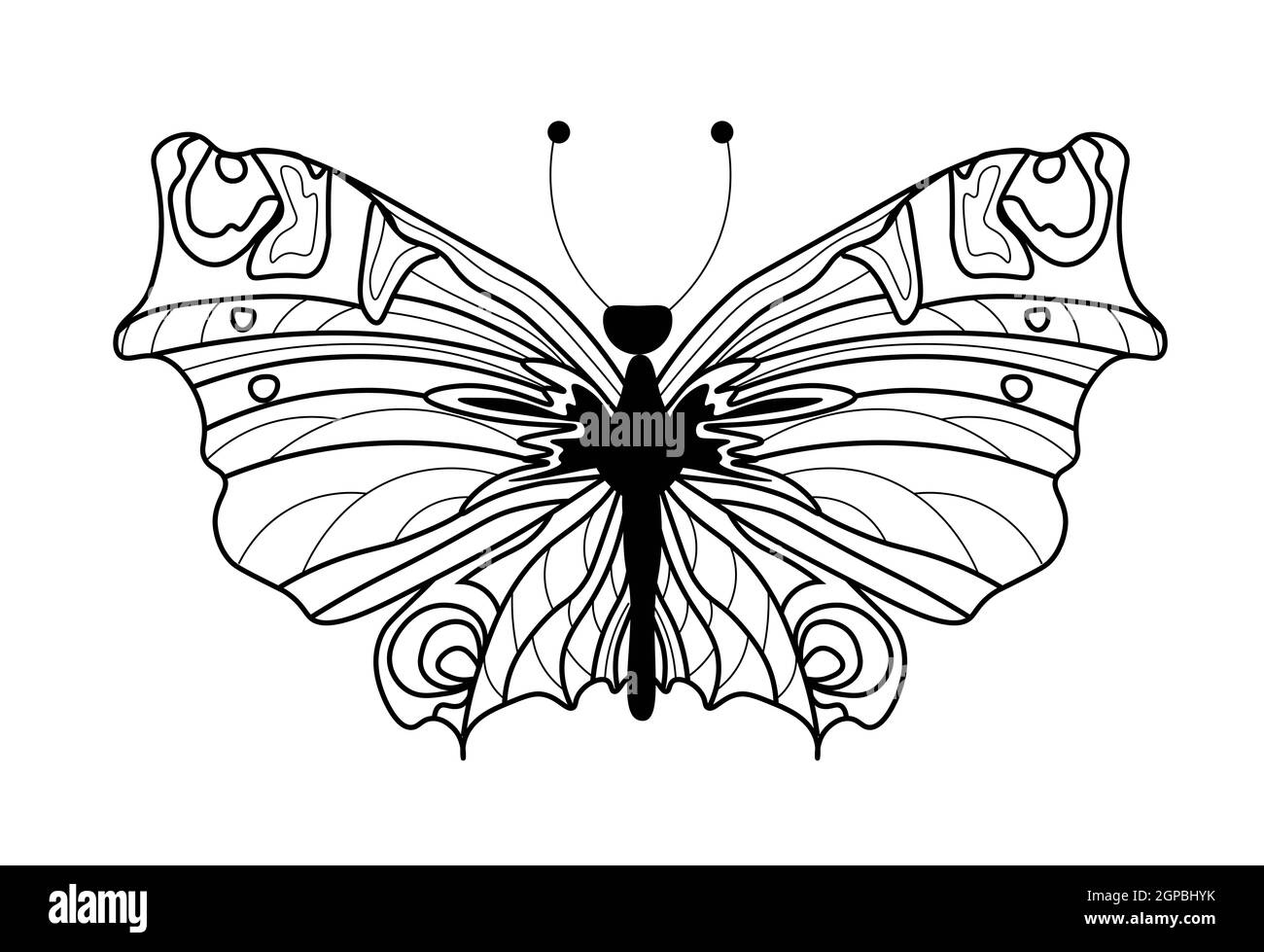 Livre de coloriage aux papillons. Dessin linéaire d'un papillon. Banque D'Images