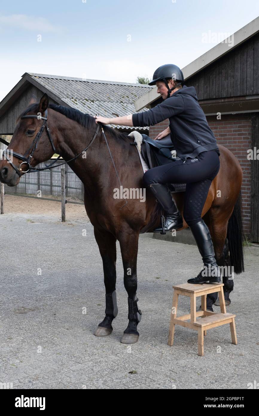 Une cycliste féminine avec casquette et bottes d'équitation se tient sur une marche en bois avec fouet dans sa main et un pied en étrier, prêt à s'asseoir sur le cheval Banque D'Images