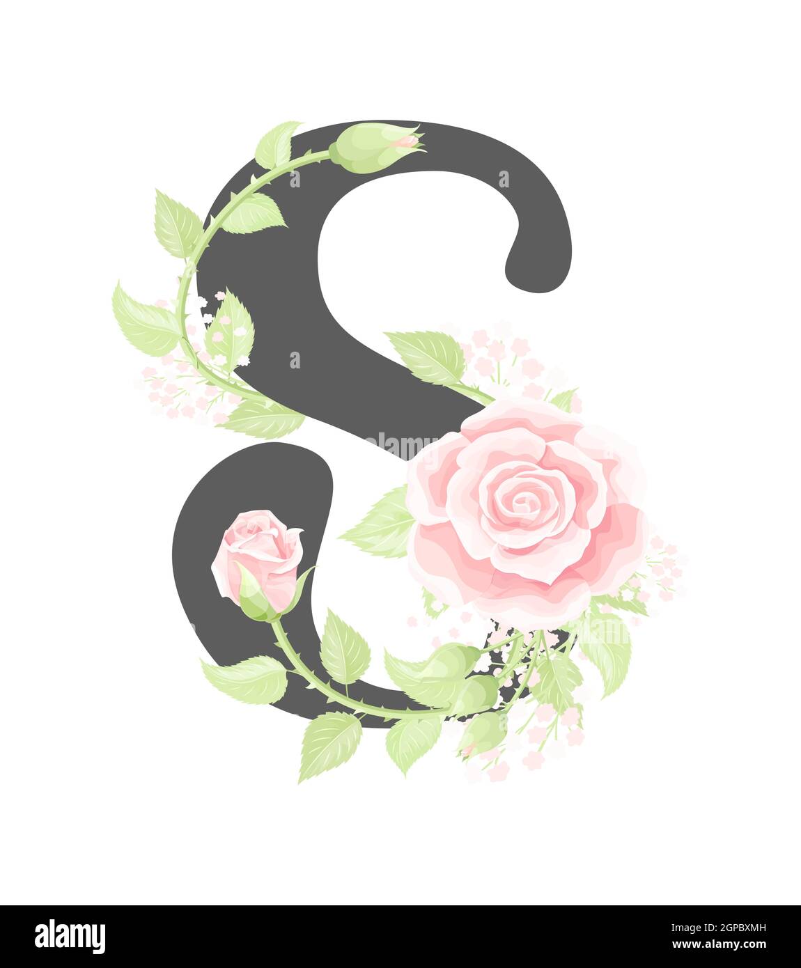 Lettre S de l'alphabet floral vectoriel avec fleurs roses crème et feuilles vertes Illustration de Vecteur