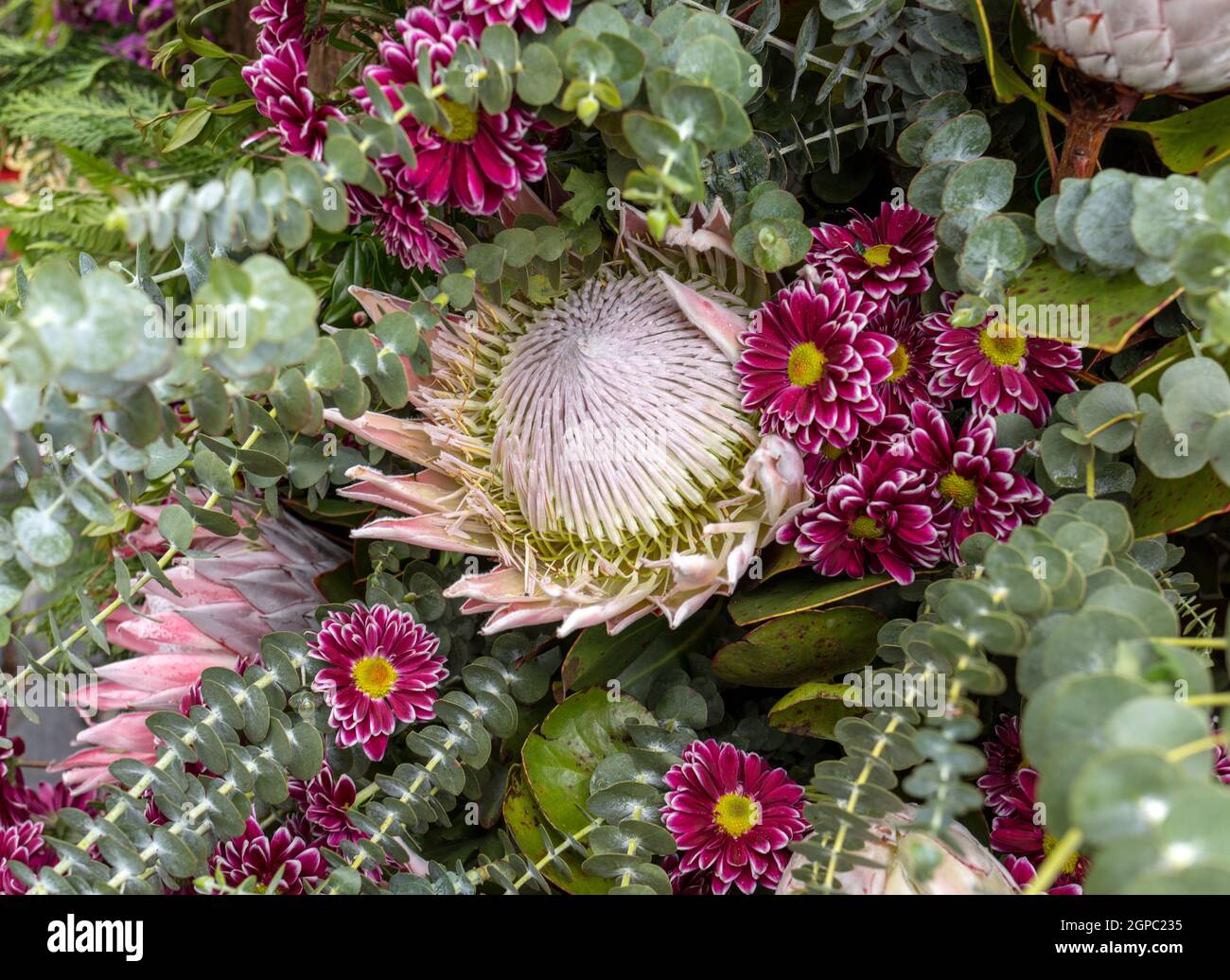 Beauté décoration floristique avec fleurs tropicales colorées Banque D'Images