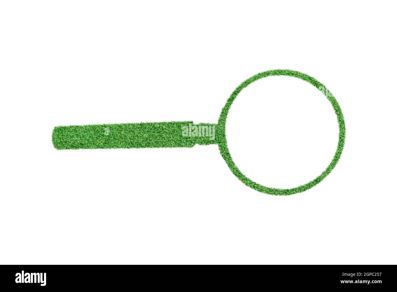 loupe en herbe verte isolée sur fond blanc. Banque D'Images