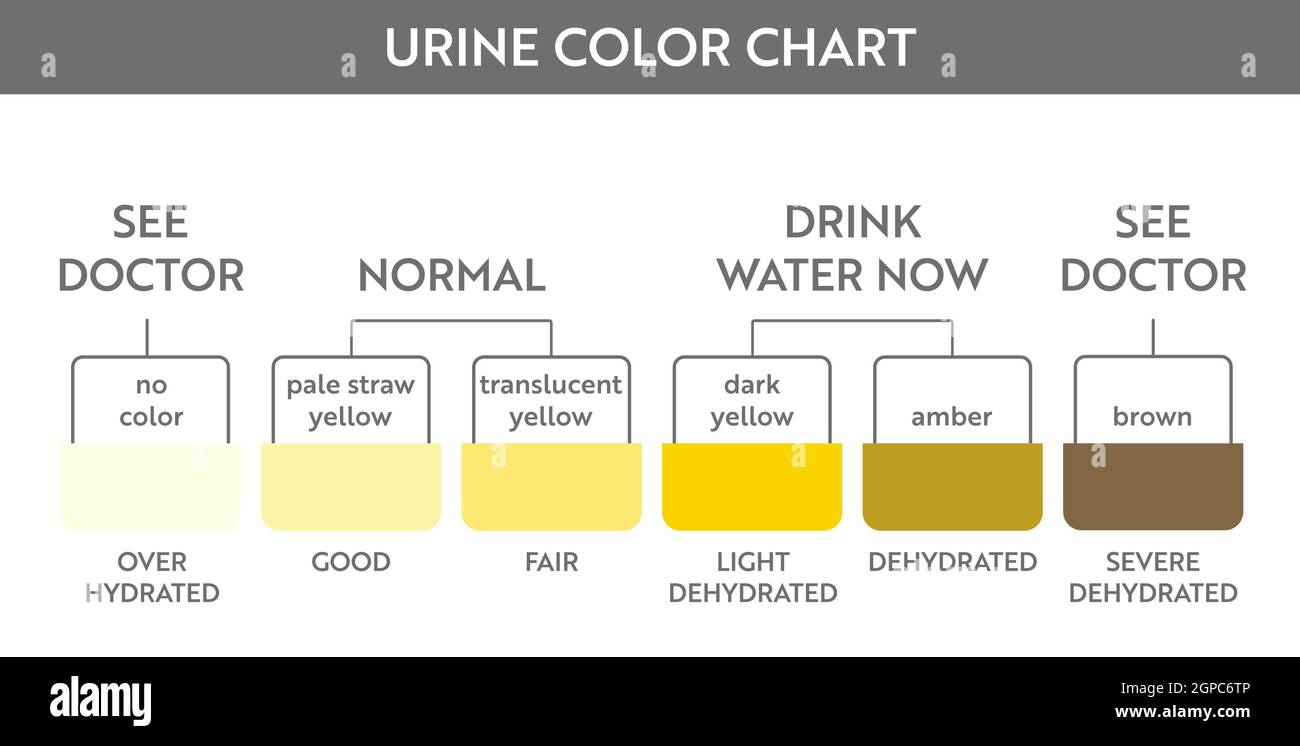 Tableau des couleurs des urines. Bandelette de test d'hydratation et de