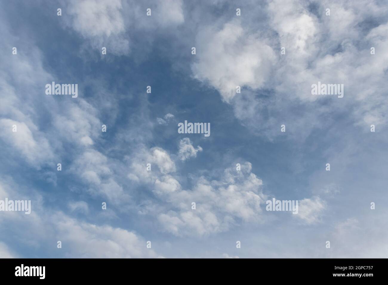 Formation de nuages blancs moelleux dans un beau ciel bleu. Idéal pour la texture ou l'arrière-plan. Banque D'Images