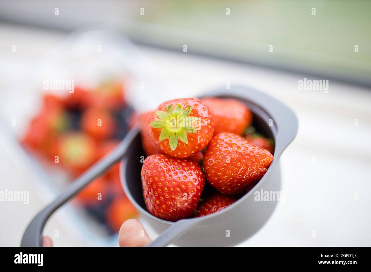 Petite tasse graduée pleine de fraises juteuses au-dessus de fruits plus flous. Baies fraîches et floues dans des récipients en plastique. Préparation de desserts fruités Banque D'Images