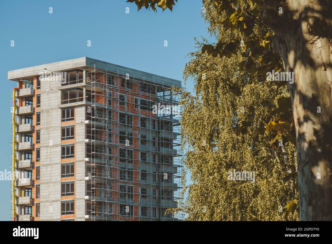Grand bâtiment de gratte-ciel en construction et cime d'arbres vert contrastant la structure en béton qui est en cours de construction Banque D'Images