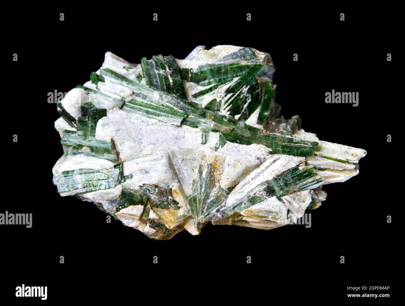 Actinolite dans la pierre précieuse du talc isolée sur fond noir Banque D'Images