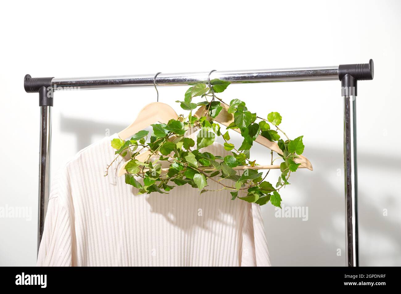 Cintre à vêtements avec plante verte accrochée sur un mur blanc. Banque D'Images