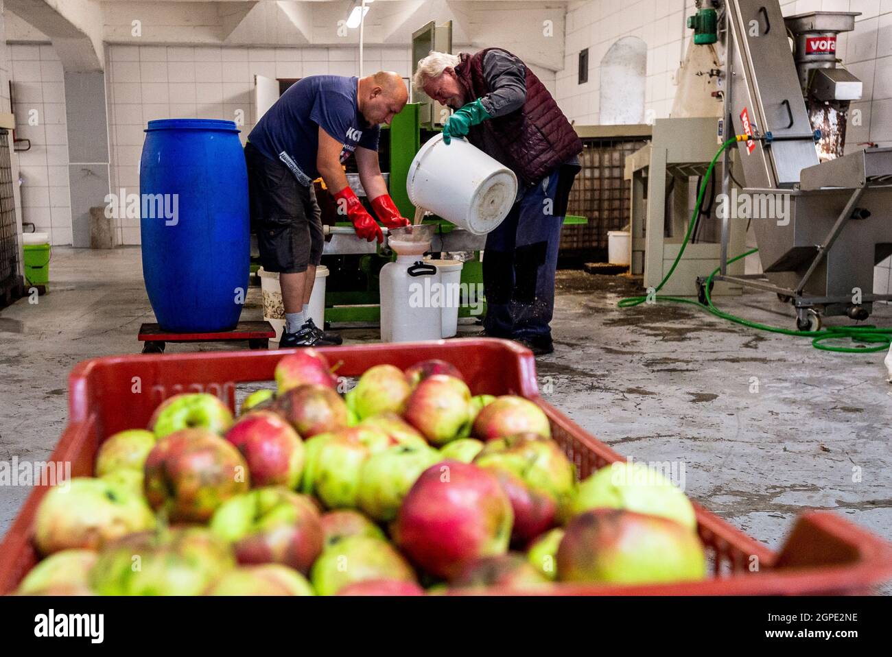 Ceska Kamenice, République tchèque. 27 septembre 2021. Les gens apportent leurs pommes récoltées dans l'usine de jus de pomme de Ceska Kamenice, en République tchèque, et emmènent le jus de pomme fraîchement pressé, le 27 septembre 2021. Crédit : Ondrej Hajek/CTK photo/Alay Live News Banque D'Images