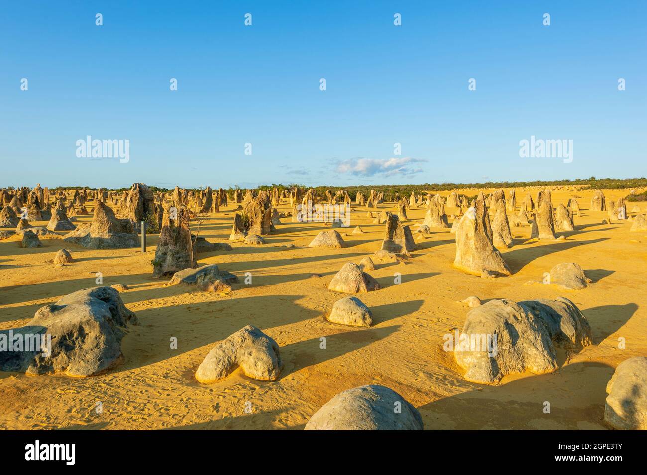 Vue panoramique sur le désert des Pinnacles, une attraction touristique populaire, parc national de Nambung, Cervantes, Australie occidentale, Australie Banque D'Images