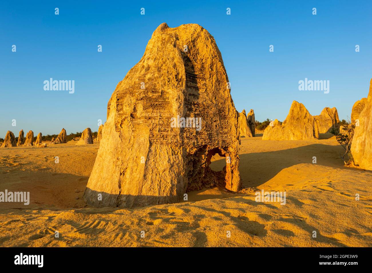 Formation de calcaire érodée au désert des Pinnacles, une attraction touristique populaire, parc national de Nambung, Cervantes, Australie occidentale, Australie Banque D'Images
