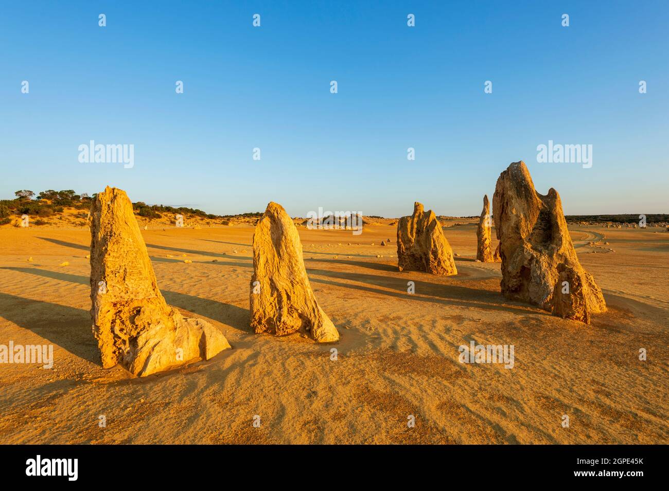Formations de calcaire érodées et ondulations de sable au désert des Pinnacles, une attraction touristique populaire, le parc national de Nambung, Cervantes, Australie occidentale Banque D'Images