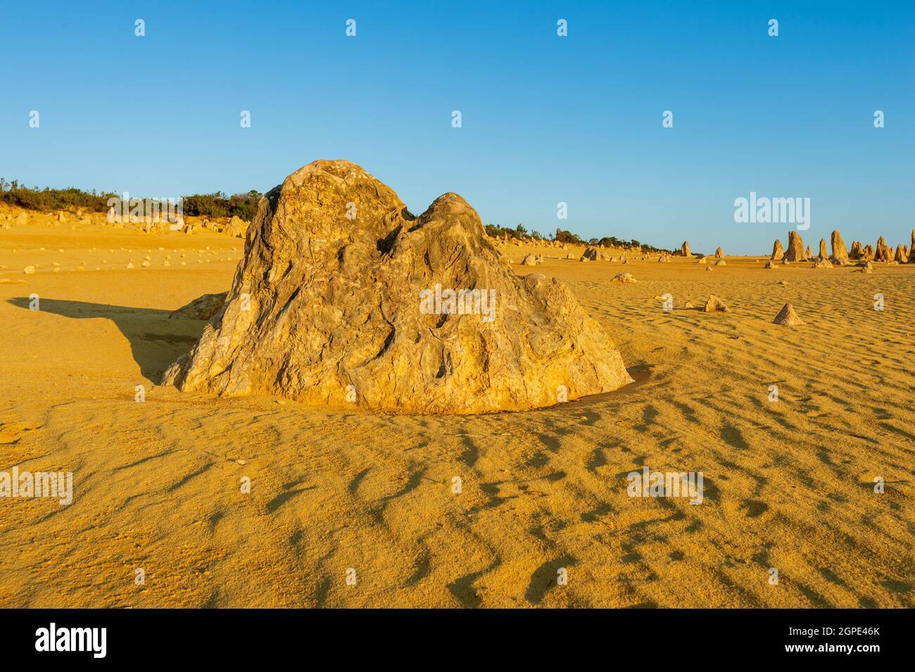 Formation de calcaire érodée et ondulations de sable au désert des Pinnacles, une attraction touristique populaire, le parc national de Nambung, Cervantes, Australie occidentale Banque D'Images