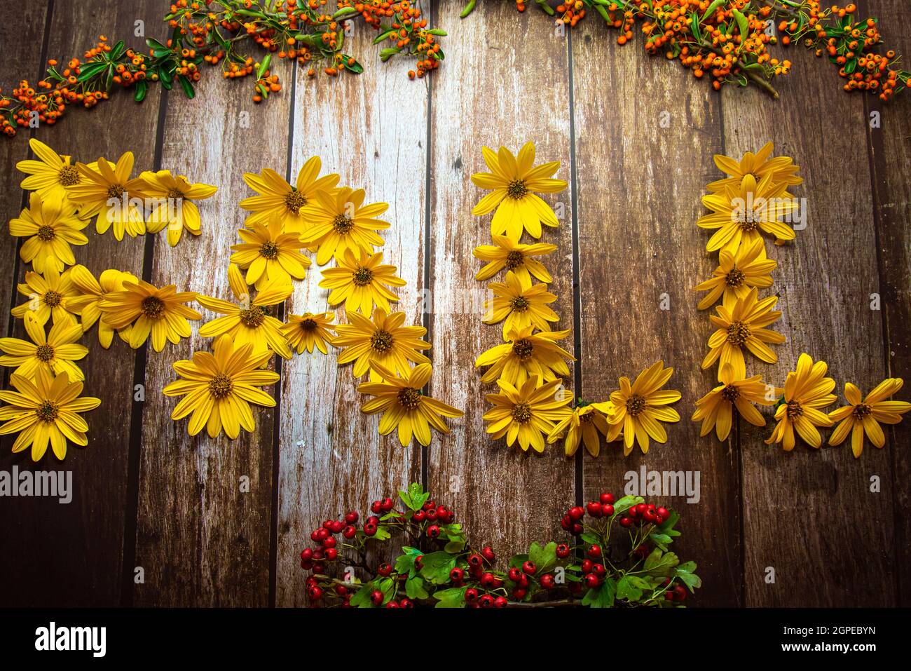Concept d'automne, le mot « automne » est disposé avec des fleurs jaunes sur fond de bois décoré de baies Banque D'Images