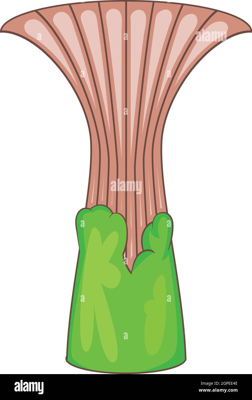 Icône de l'arbre de jardin, style cartoon Illustration de Vecteur