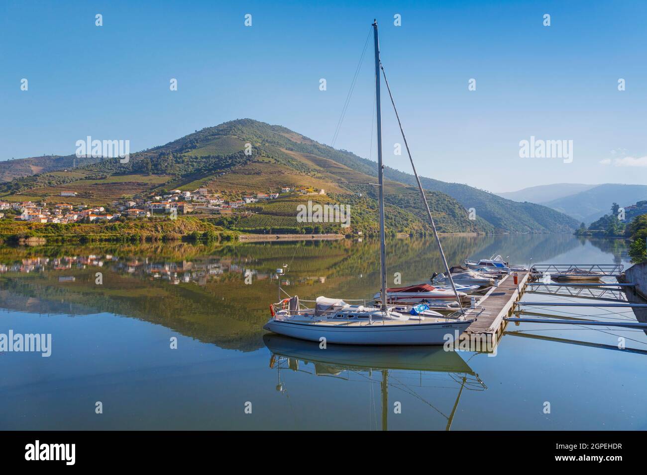 Folgosa do Douro, district de Viseu, Portugal. Artisanat de sport amarré sur le fleuve Douro. Vignobles sur les collines au-dessus de Covelinhas, Vila Real District, en face Banque D'Images