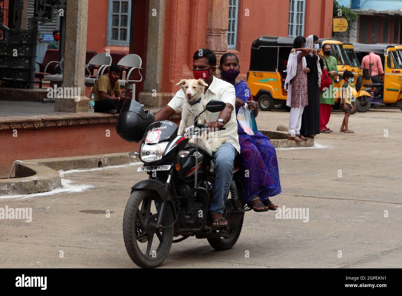 Chennai, Tamil Nadu, Inde. 29 septembre 2021. Un homme arrive à moto pour vacciner son chien avec une dose de vaccin antirabique à l'occasion de la Journée mondiale de la rage à l'hôpital universitaire vétérinaire du Tamil Nadu à Chennai. (Credit image: © Sri Loganathan/ZUMA Press Wire) Credit: ZUMA Press, Inc./Alay Live News Banque D'Images