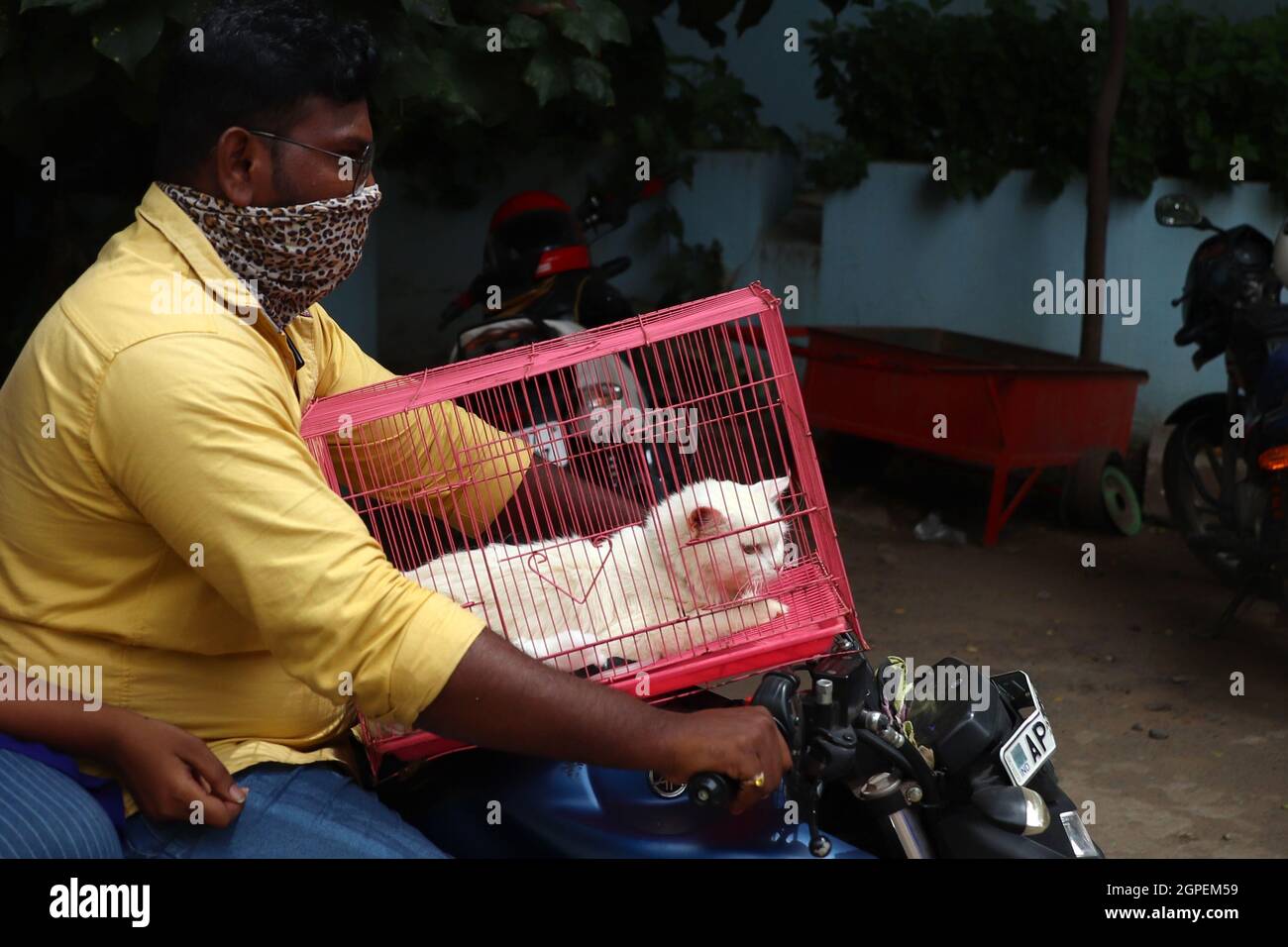 Chennai, Tamil Nadu, Inde. 29 septembre 2021. Un homme arrive à moto pour vacciner son chat avec une dose de vaccin antirabique à l'occasion de la Journée mondiale de la rage à l'hôpital universitaire vétérinaire du Tamil Nadu à Chennai. (Credit image: © Sri Loganathan/ZUMA Press Wire) Credit: ZUMA Press, Inc./Alay Live News Banque D'Images