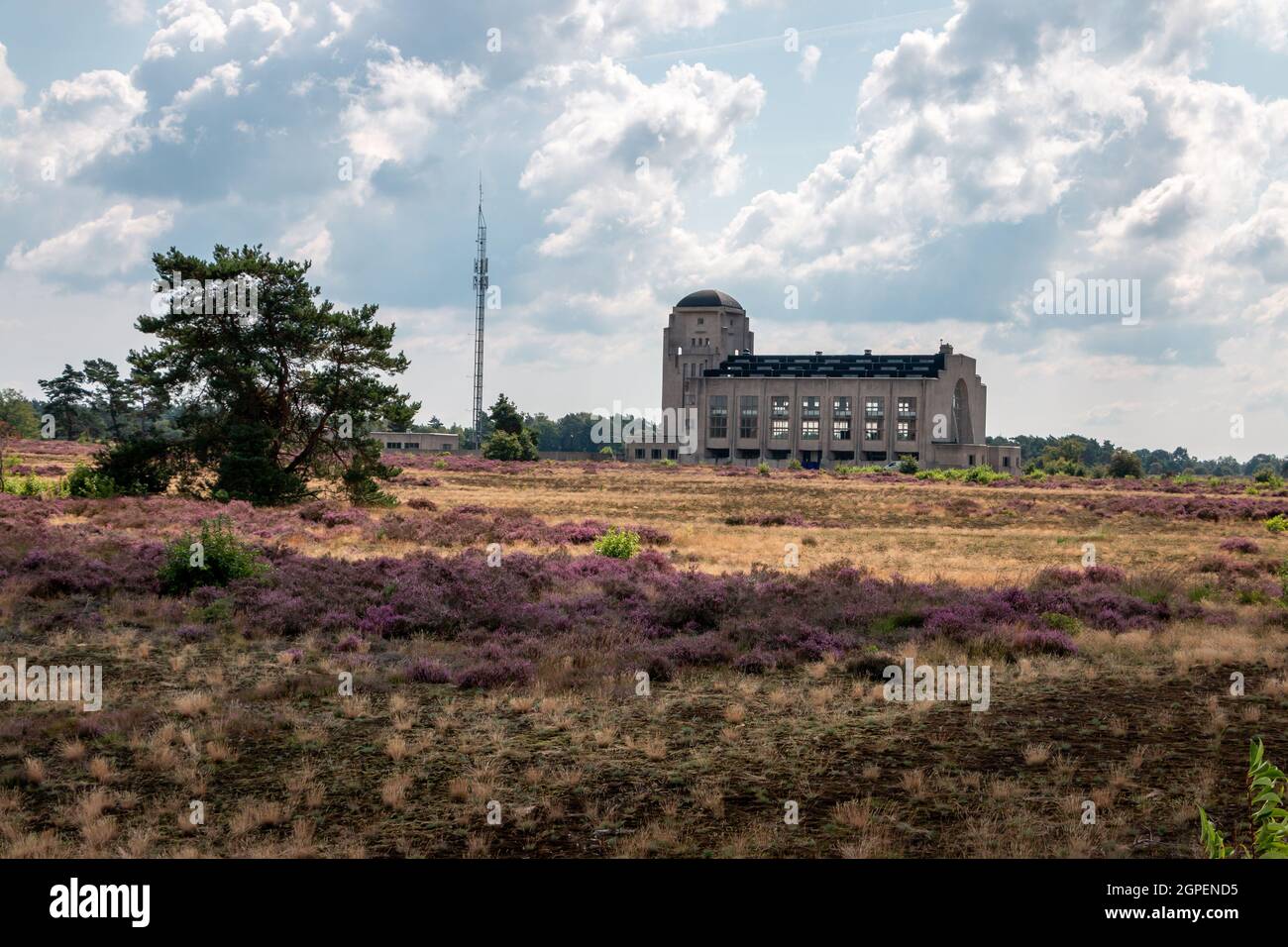 La réserve naturelle de 'Kootwijker Sand' avec de beaux champs de bruyère et l'ancienne station de radio 'radio Kootwijk' qui était utilisée au début du 20e siècle Banque D'Images