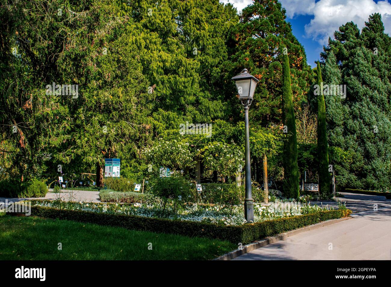 Lac de Constance : jardins de l'île de Mainau Banque D'Images