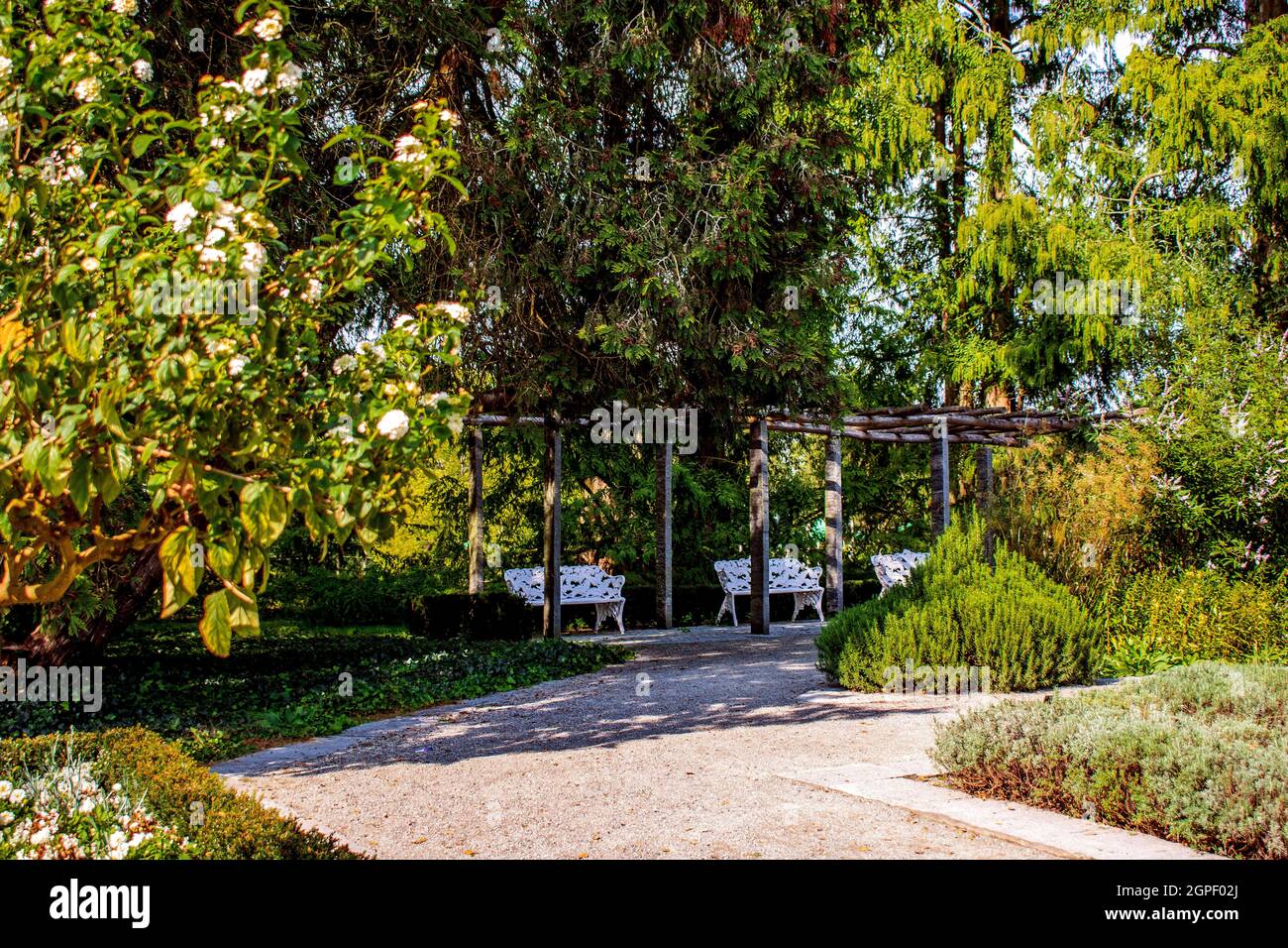 Lac de Constance : jardins de l'île de Mainau Banque D'Images