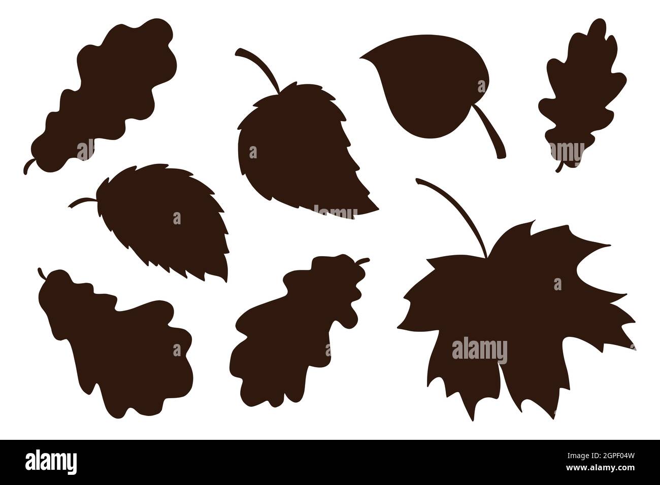 Collection d'ombres à feuilles dessinées à la main. Ensemble d'éléments Silhouette pour feuillage forestier. Éléments décoratifs d'automne pour les imprimés, les autocollants, les cartes d'invitation et de voeux design et décoration. Vecteur Premium Illustration de Vecteur