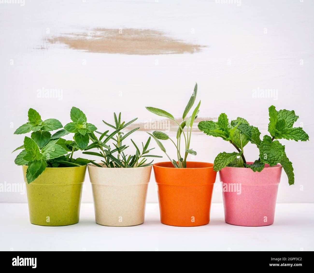 Divers types d'herbes du jardin en pots de couleur blanche avec fond en bois miteux. Menthe verte, menthe poivrée, sauge et romarin planté dans des pots. Banque D'Images