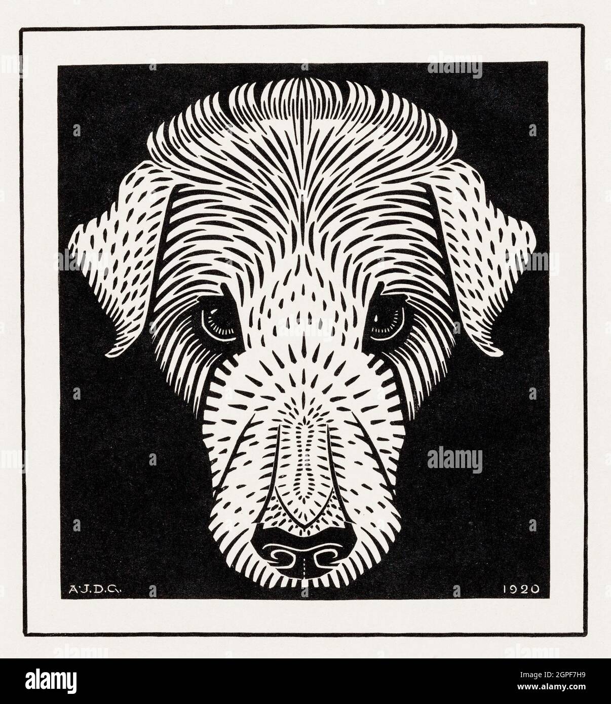 Tête de chien (1920) de Julie de Graag (1877-1924). Banque D'Images