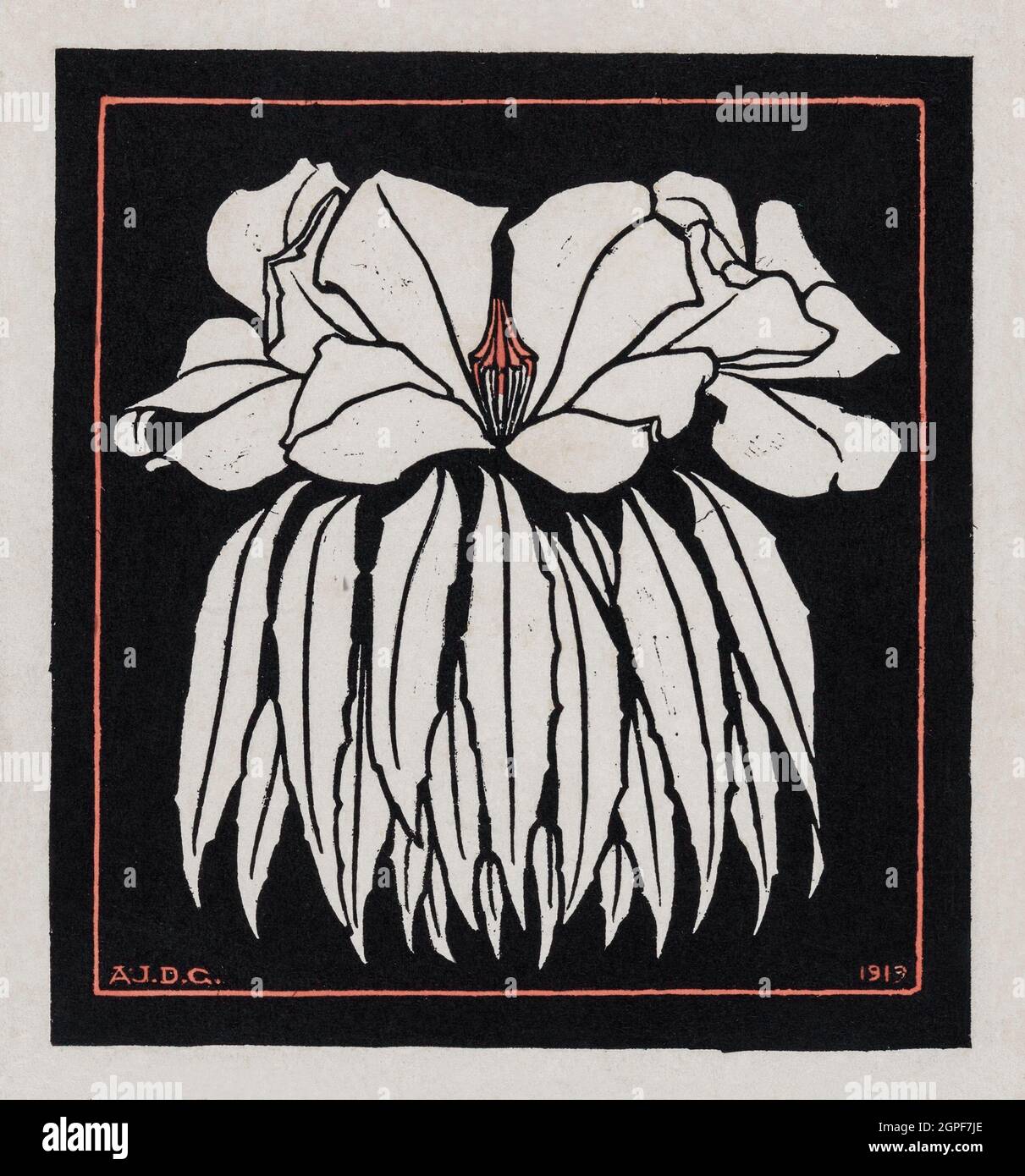 Godetia (1919) par Julie de Graag (1877-1924). Banque D'Images