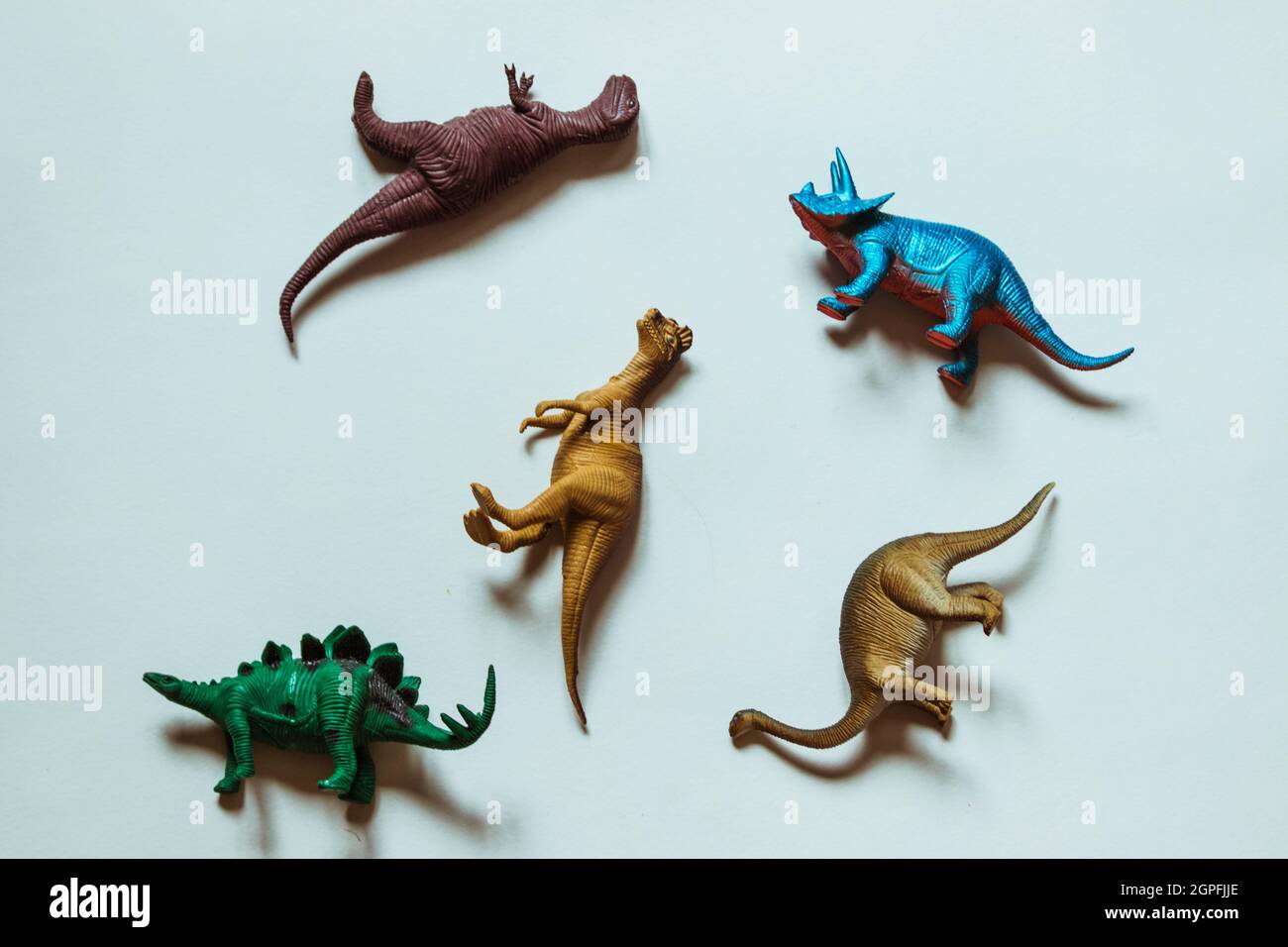 Cinq dinosaures jouets de différentes couleurs se trouvent sur un fond blanc. Banque D'Images
