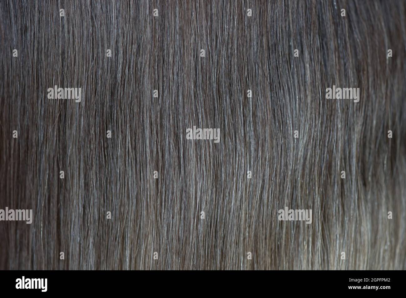 Cheveux blond foncé pour un arrière-plan rapproché. Banque D'Images