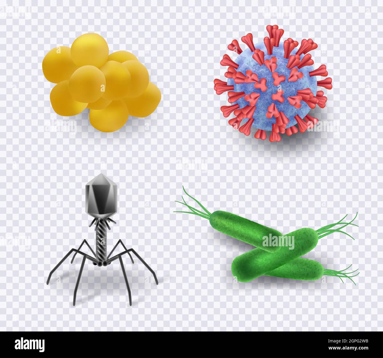 Virus. Biologie infection bactéries cellules bacillus ncov microorganisme vecteur science collection réaliste de symboles Illustration de Vecteur