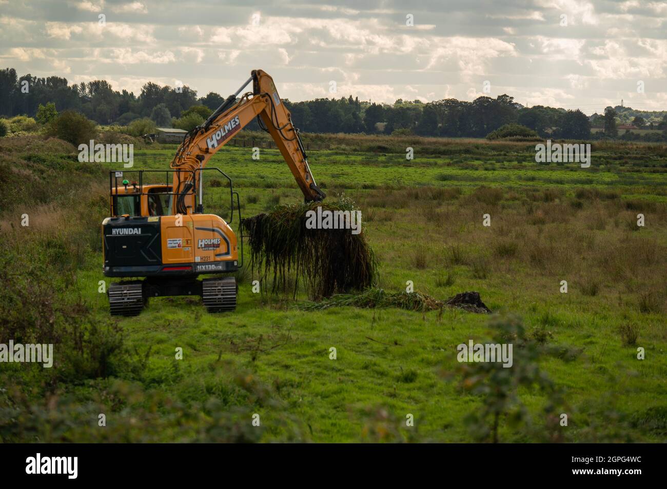 Un creuseur qui maintient les fossés de drainage sur les marais à pâturage à basse altitude des Norfolk Broads à Buckenham Marshes Banque D'Images