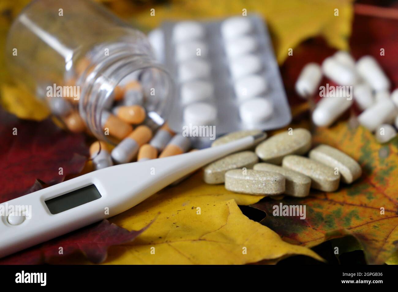 Pilules et thermomètre numérique sur feuilles d'érable jaunes et rouges, bouteille de capsules et blister de comprimés. Concept d'antipyrétique, vitamines Banque D'Images