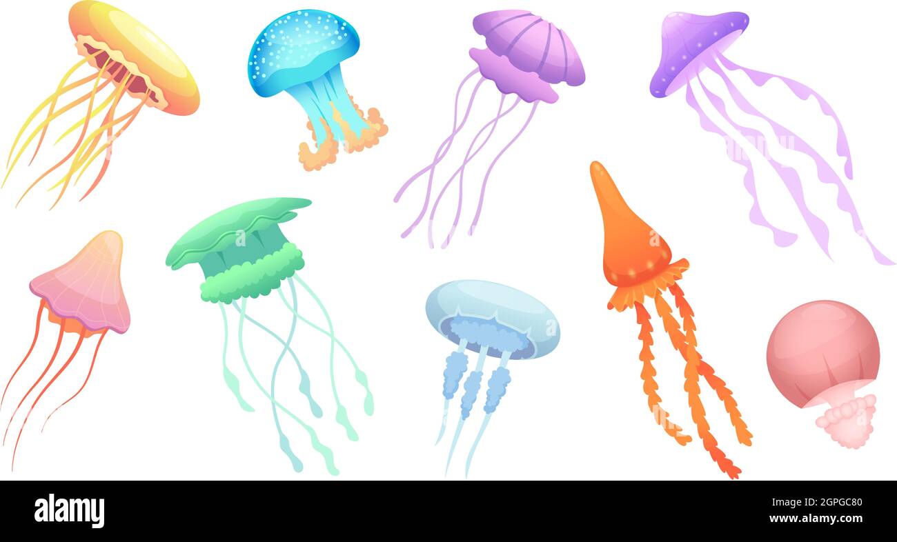 Méduses. Animaux sauvages sous-marins beau groupe coloré de méduses vecteur Illustration de Vecteur